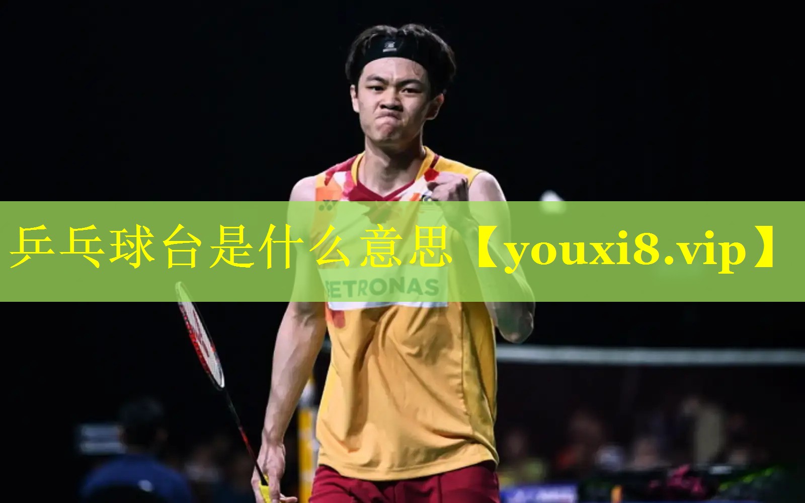 乒乓球台是什么意思