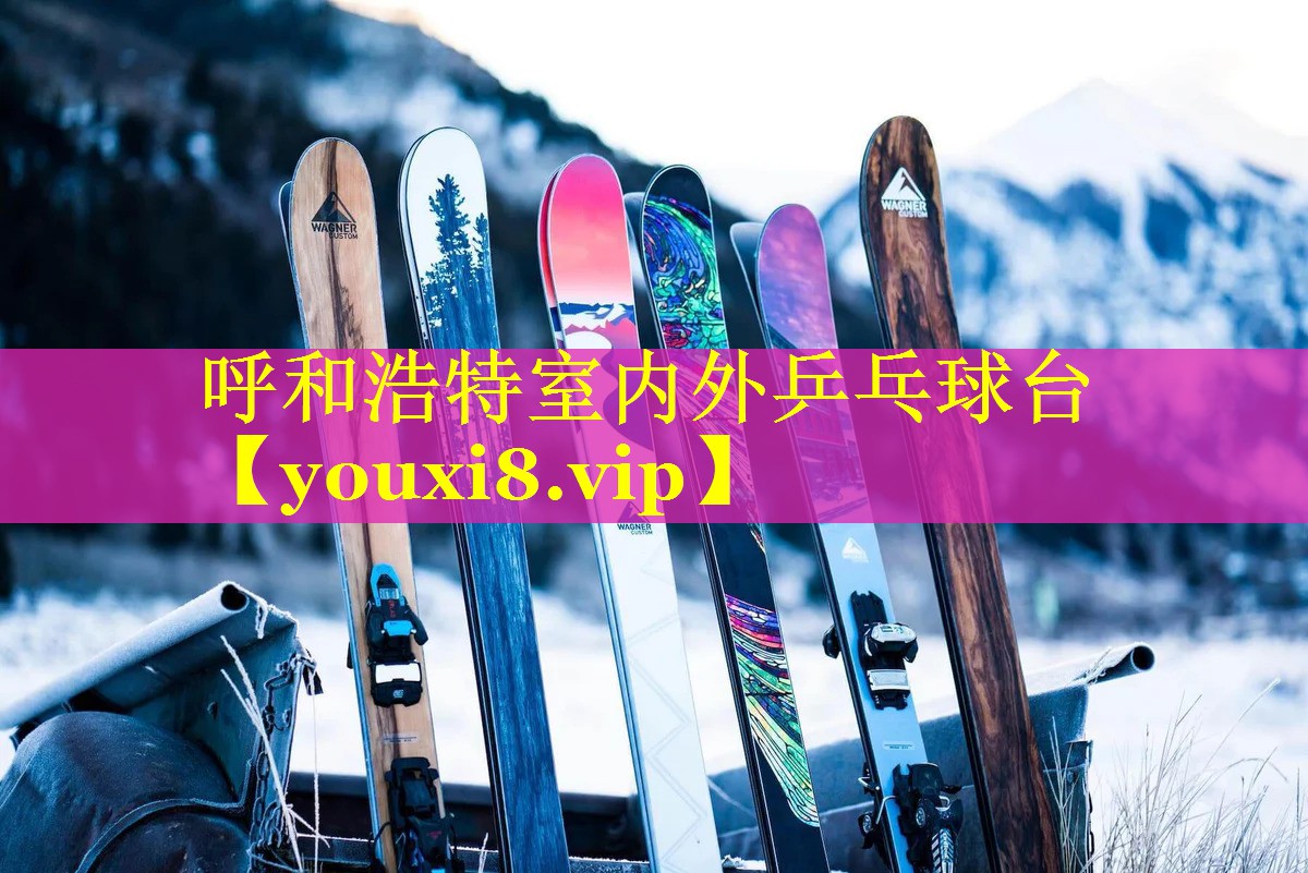 呼和浩特室内外乒乓球台