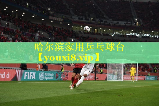 哈尔滨家用乒乓球台