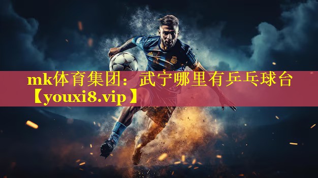 mk体育集团：武宁哪里有乒乓球台