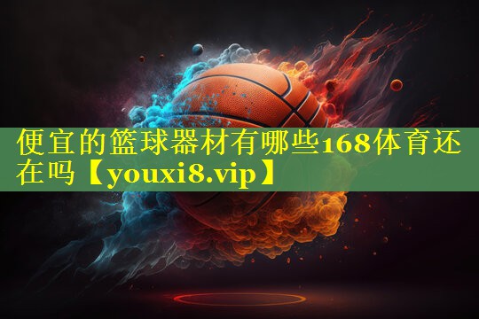 便宜的篮球器材有哪些168体育还在吗