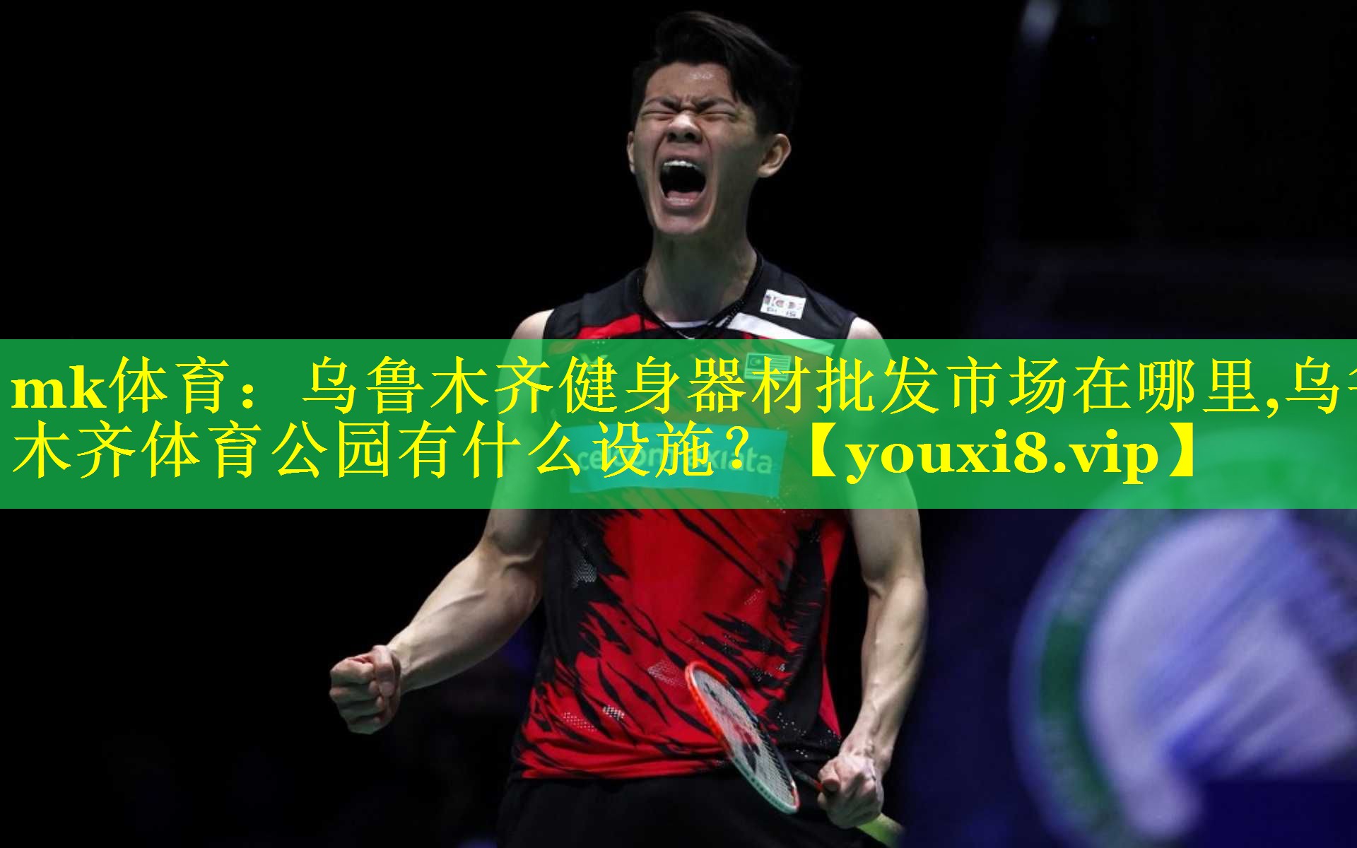 mk体育：乌鲁木齐健身器材批发市场在哪里,乌鲁木齐体育公园有什么设施？