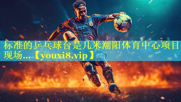 标准的乒乓球台是几米潮阳体育中心项目现场…