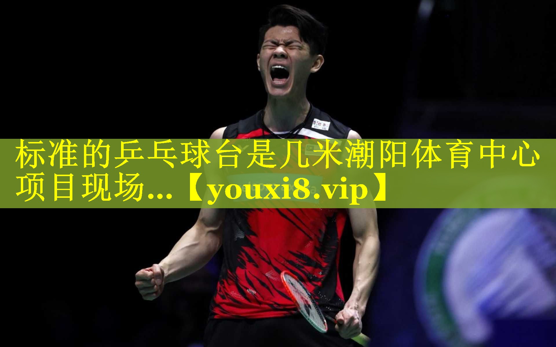 标准的乒乓球台是几米潮阳体育中心项目现场…