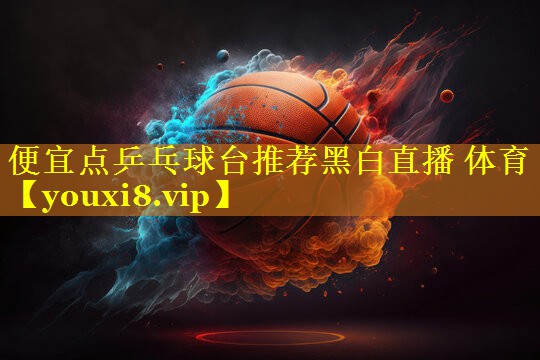 便宜点乒乓球台推荐黑白直播 体育