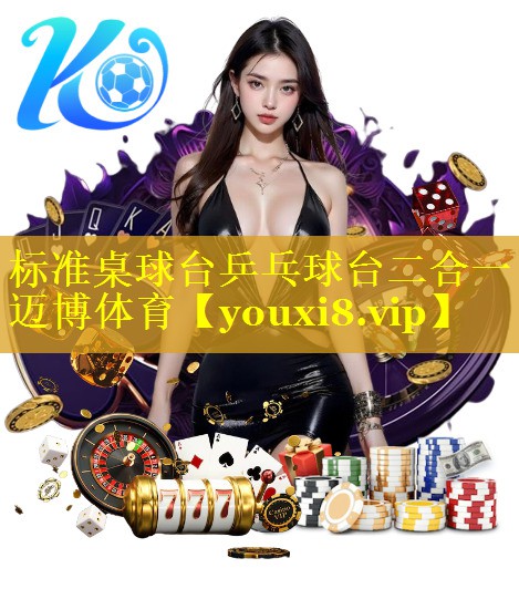 标准桌球台乒乓球台二合一迈博体育
