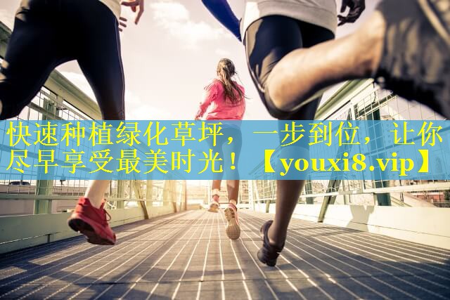 快速种植绿化草坪，一步到位，让你尽早享受最美时光！
