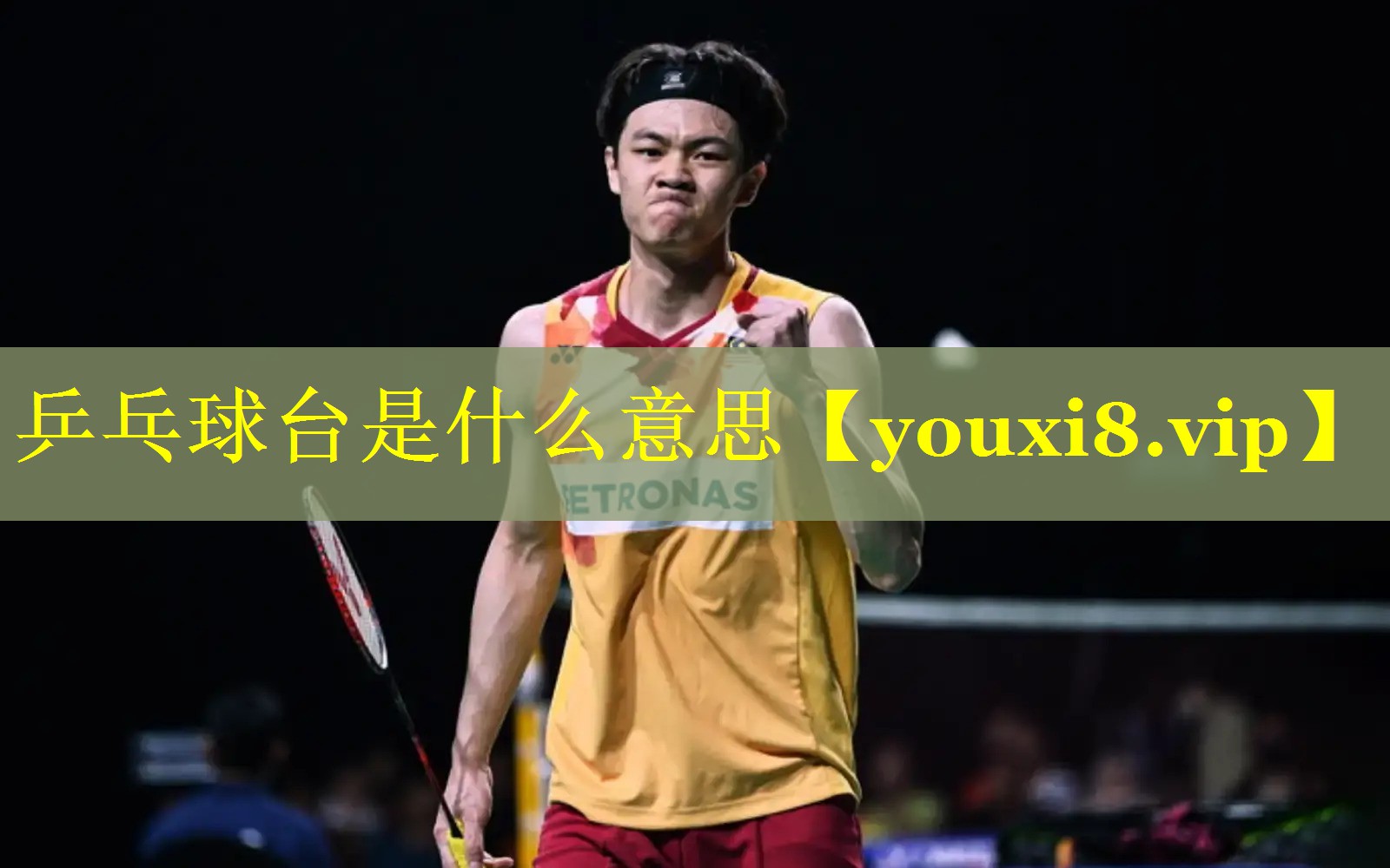 乒乓球台是什么意思