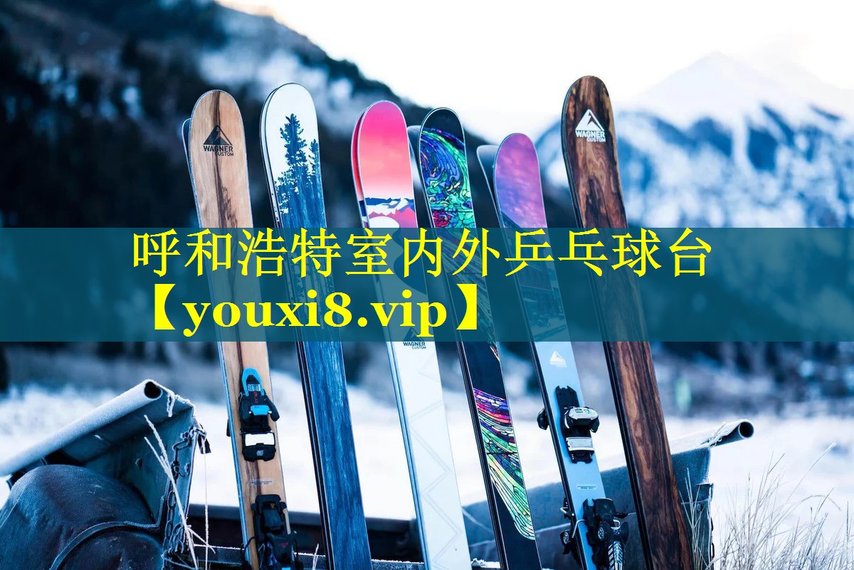 呼和浩特室内外乒乓球台