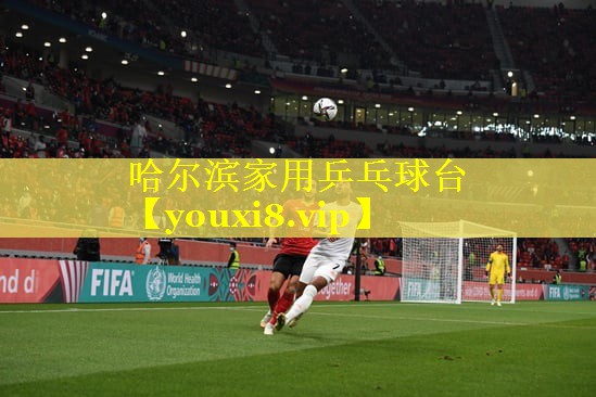 哈尔滨家用乒乓球台