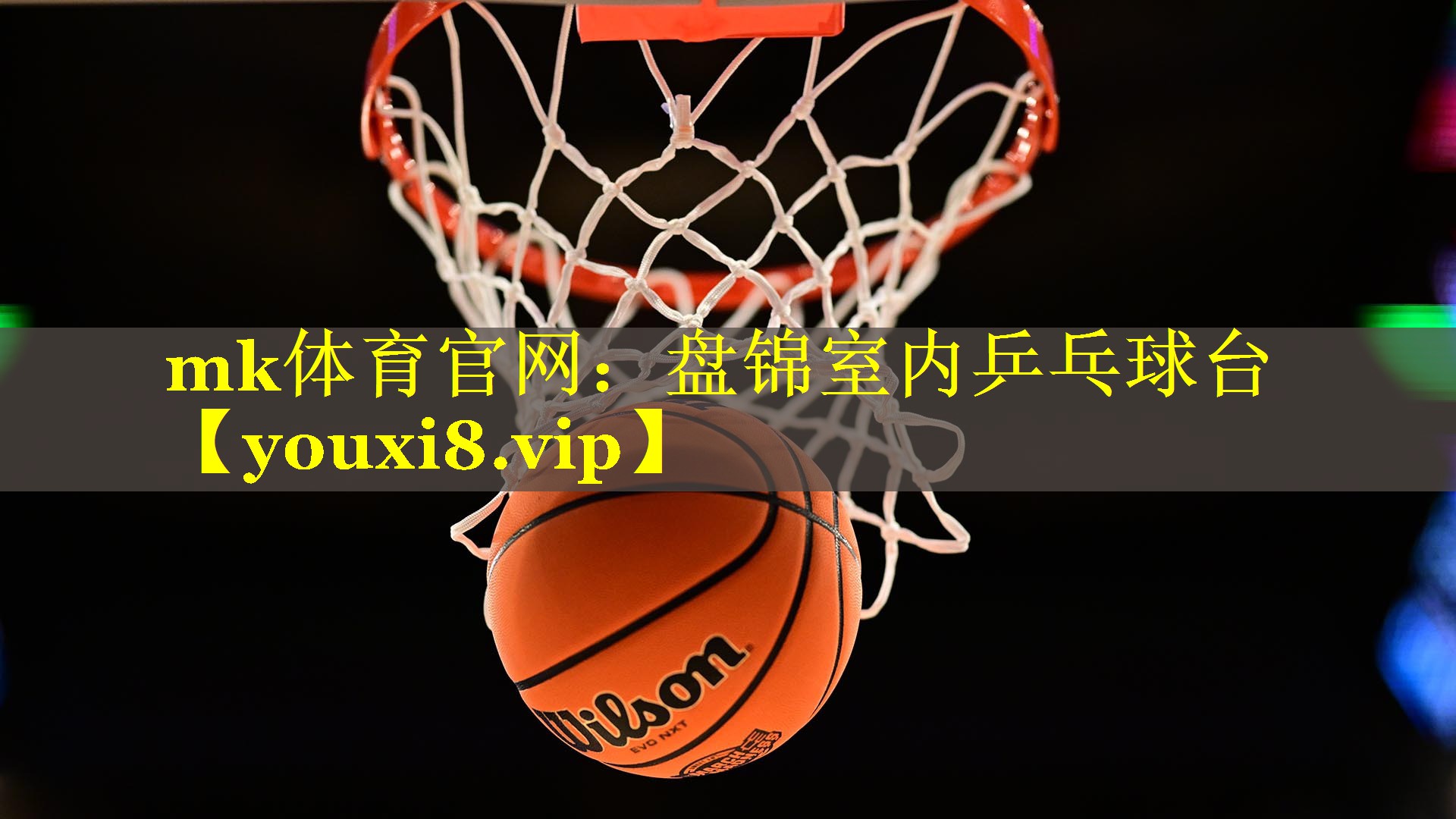 盘锦室内乒乓球台