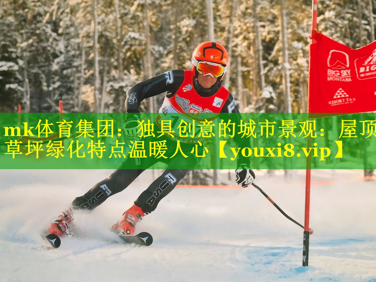 独具创意的城市景观：屋顶草坪绿化特点温暖人心