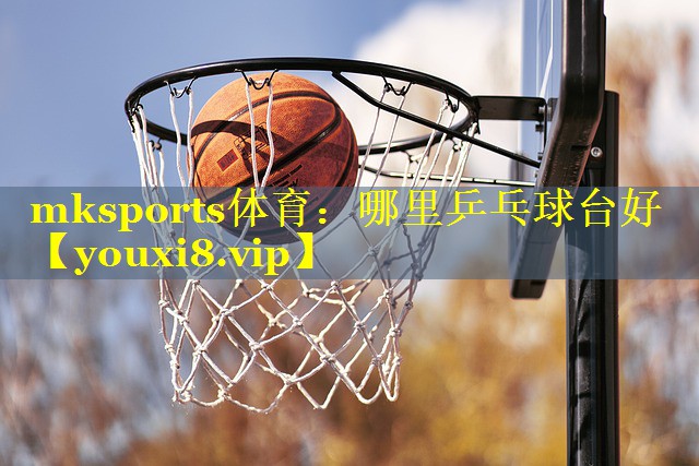 哪里乒乓球台好