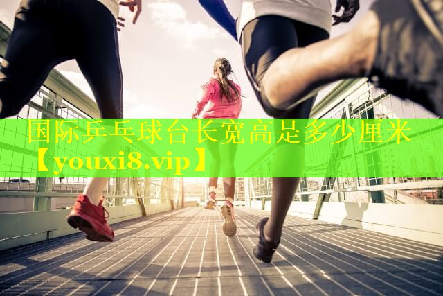 国际乒乓球台长宽高是多少厘米