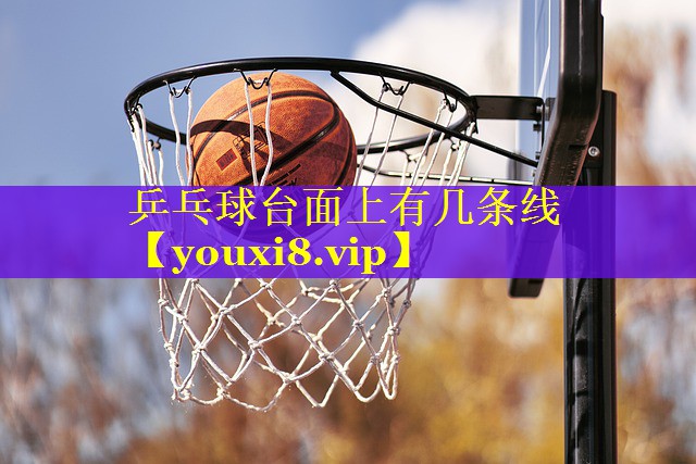 乒乓球台面上有几条线