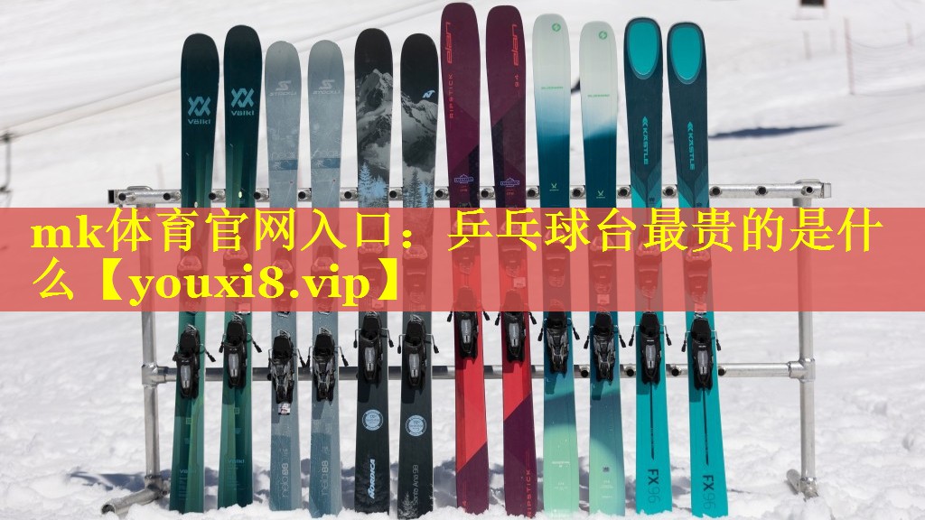 乒乓球台最贵的是什么