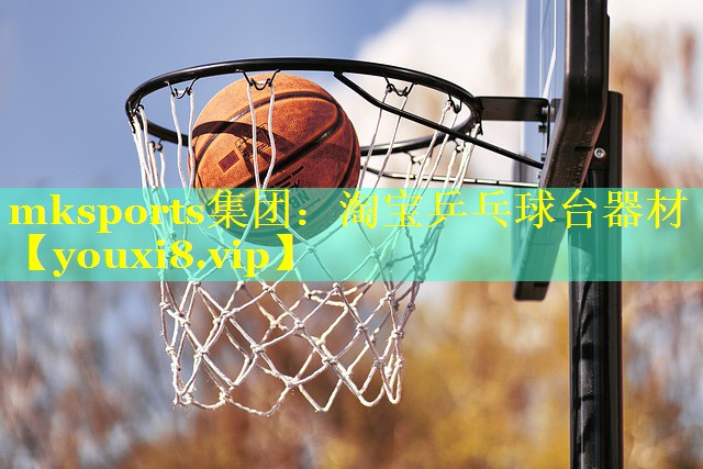 淘宝乒乓球台器材