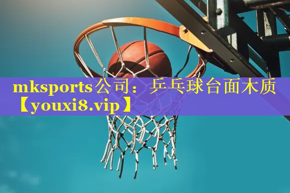 乒乓球台面木质